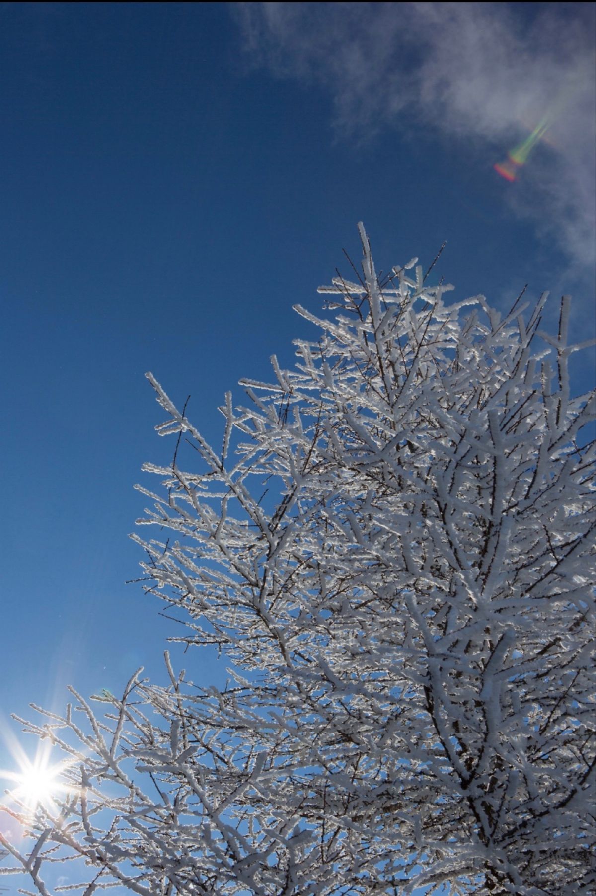長野県美ヶ原高原
●北アルプスの夕焼け
●樹氷
●太陽と樹氷
●月と樹氷
...