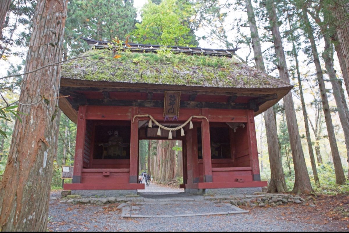 長野　戸隠
●随神門
●奥社参道杉並木
●戸隠神社　中社

今回もよく歩い...