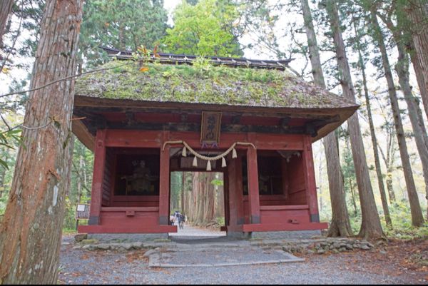 日本・長野県「戸隠神社の御朱印をもらう旅」の写真：長野　戸隠
●随神門
●奥社参道杉並木
...