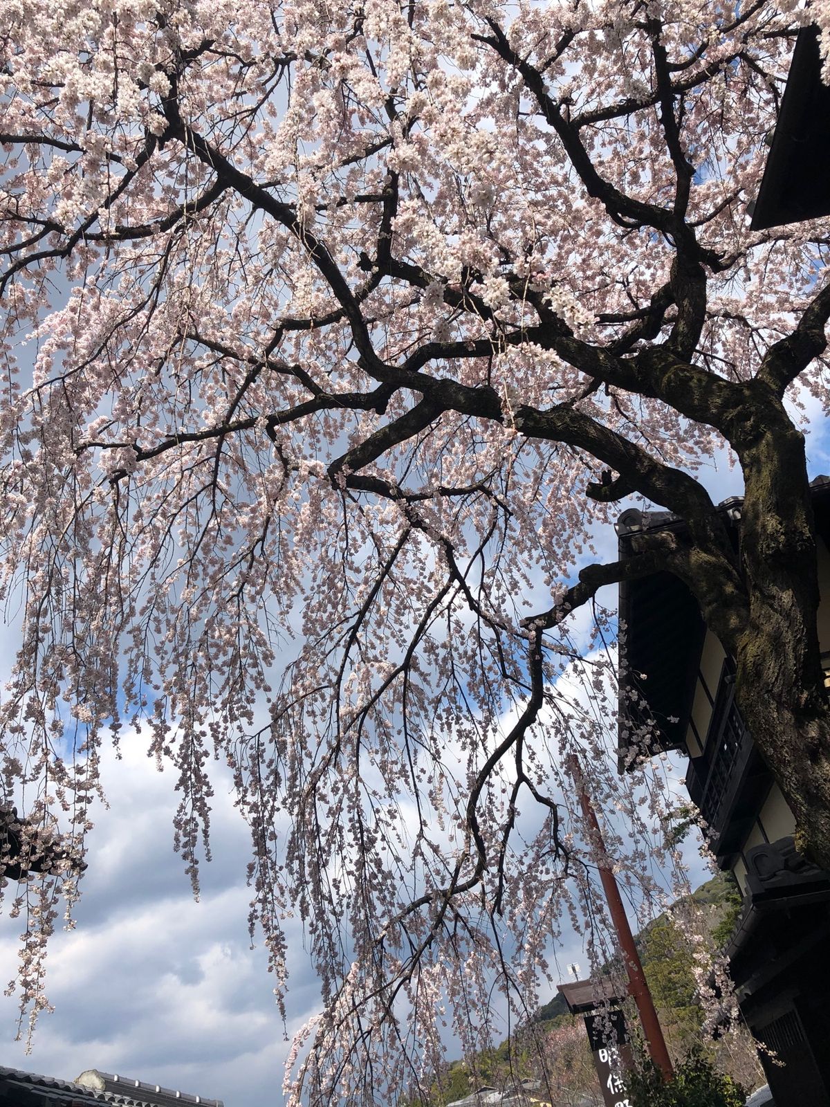 ギリギリ コロナ流行前