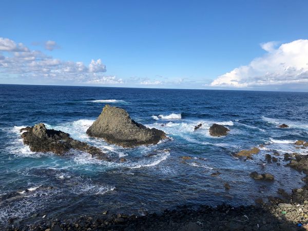 日本・礼文島「日本最北端　利尻礼文島の旅」の写真：日本最北限　スコトン岬