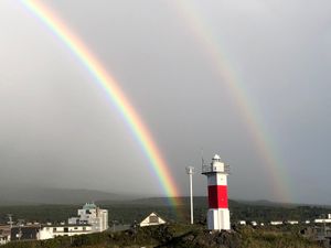 利尻島で映画のロケ地へ。稚内から出張してきたアザラシが生簀で飼われているの...