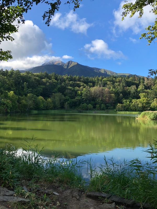日本・礼文島「日本最北端　利尻礼文島の旅」の写真：利尻島と稚内。稚内でフェリーを降りたとこ...
