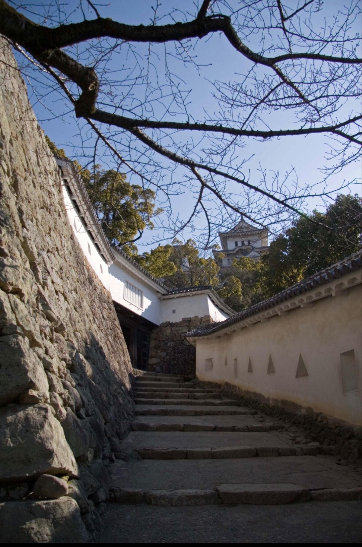 兵庫県　姫路城（世界遺産）
●松の木が映える姫路城
●城内の狭い道
●狭間...