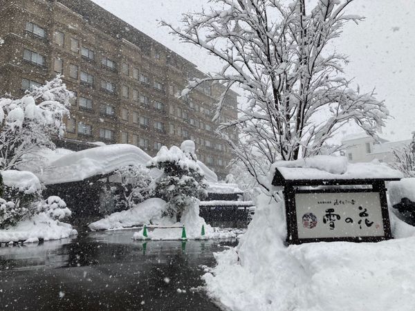 日本・新潟「越後湯沢2020」の写真：そば処　中野屋　湯沢本店
ぽんしゅ館
雪の花