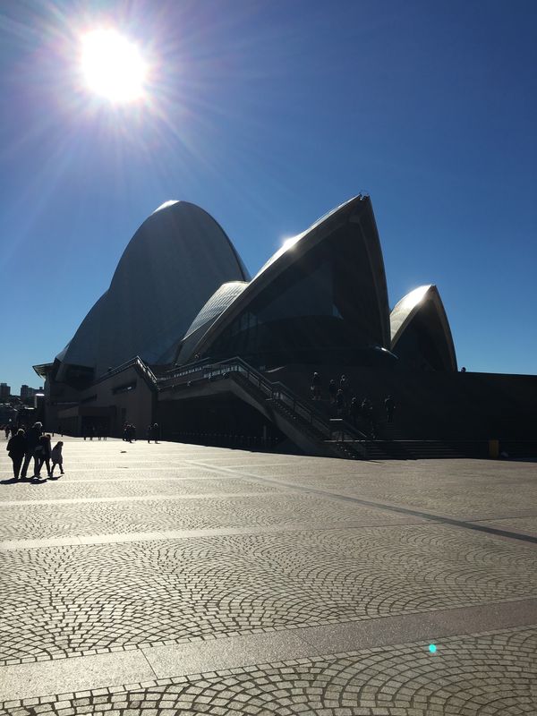 オーストラリア連邦・メルボルン「オーストラリア」の写真