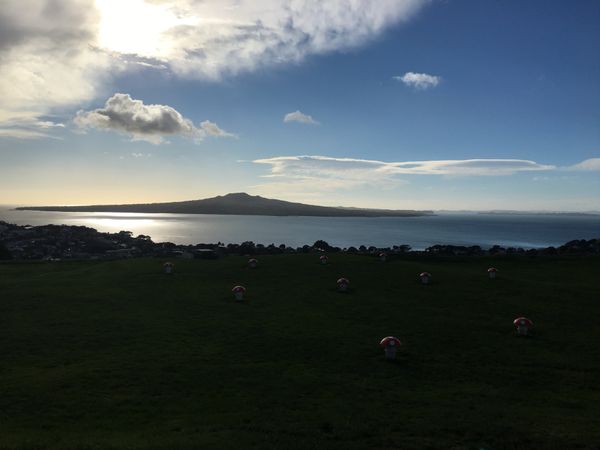 ニュージーランド・オークランド「ニュージーランド」の写真