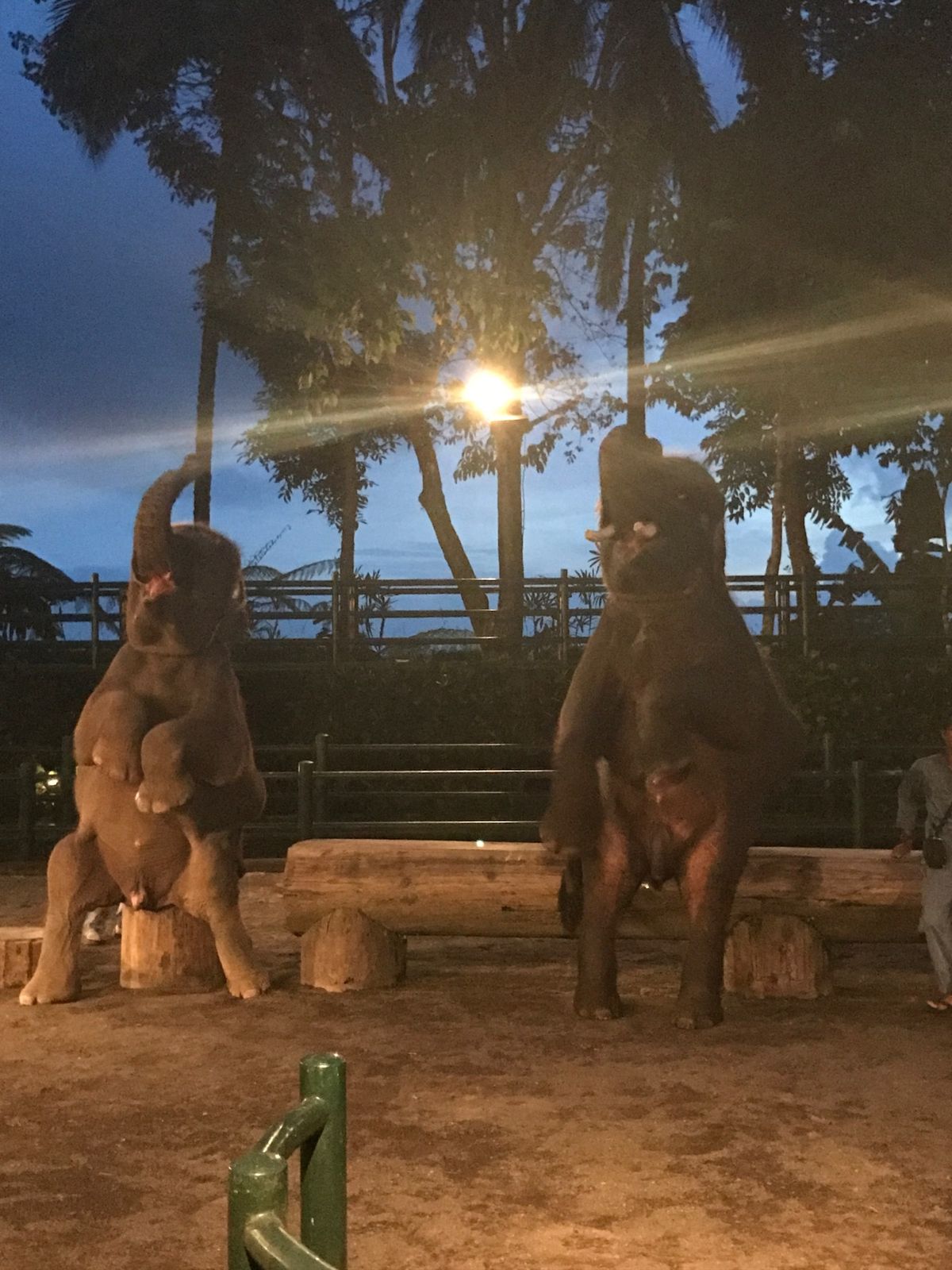 クタビーチ目の前のホテルに滞在、毎日サーフガイドが迎えに来て舟で沖にでる。...