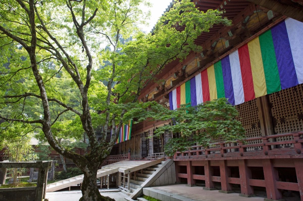 比叡山
●比叡山延暦寺　根本中堂（世界遺産）
●比叡山延暦寺　阿弥陀堂（世...