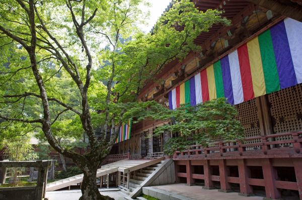 日本・滋賀県「古寺を訪ねて滋賀へ」の写真：比叡山
●比叡山延暦寺　根本中堂（世界遺...
