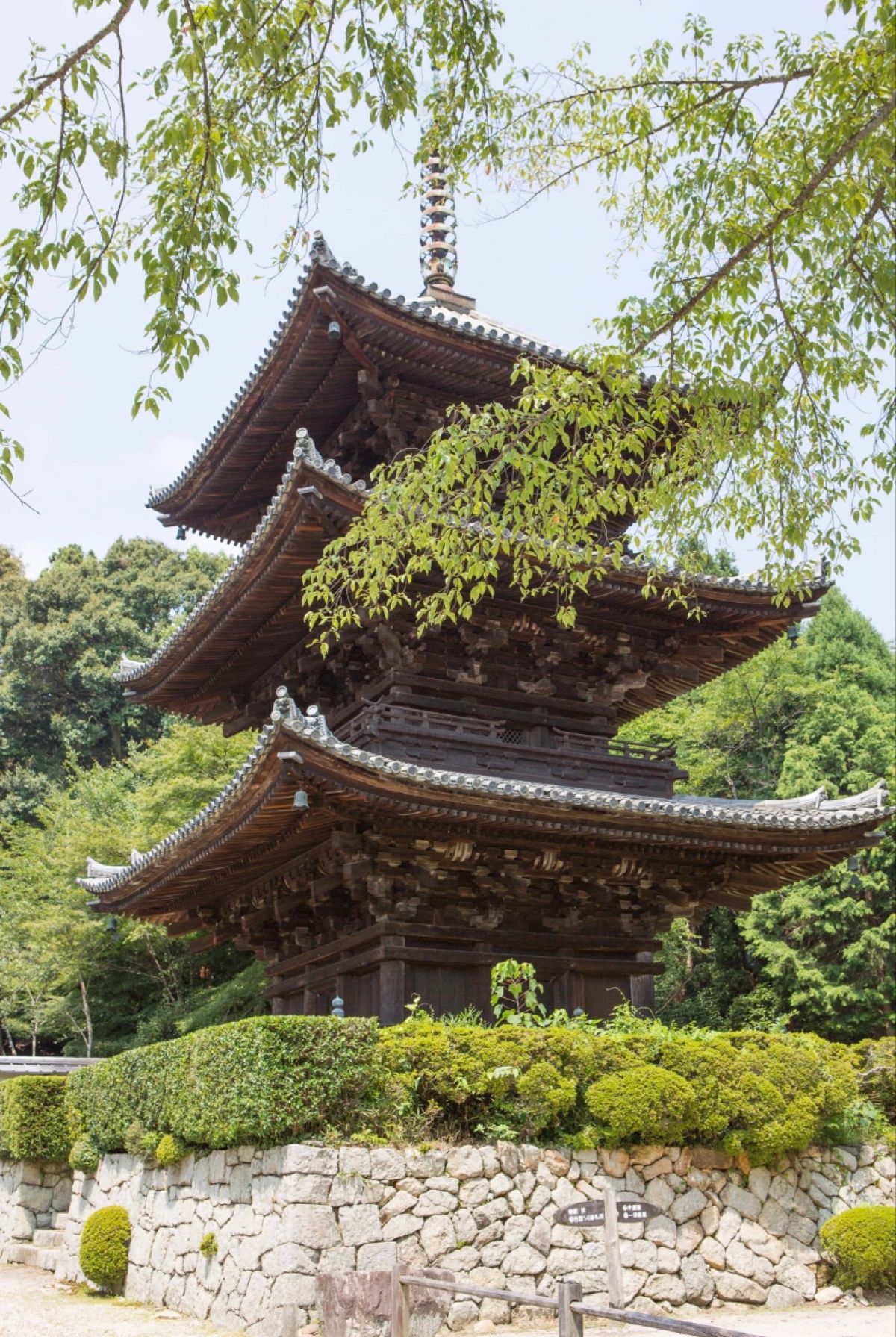 滋賀県
●園城寺（三井寺）仁王門
●園城寺（三井寺）金堂
●園城寺（三井寺...