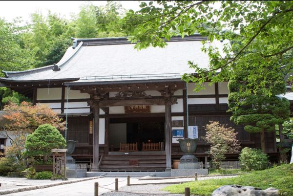 日本・鎌倉「紫陽花の季節に鎌倉へ」の写真：鎌倉
●報国寺
●報国寺の竹林
●極楽寺...