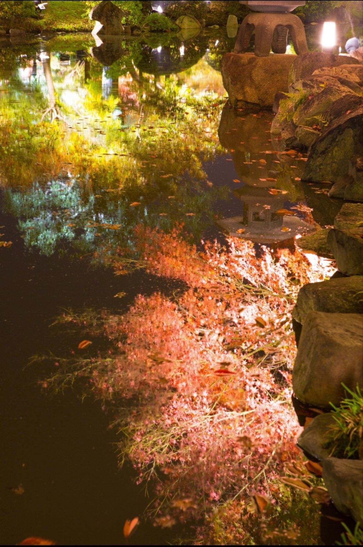 京都
●圓光寺　竹筒に浮かぶ紅葉
●圓光寺の庭園
●東寺のライトアップ（世...