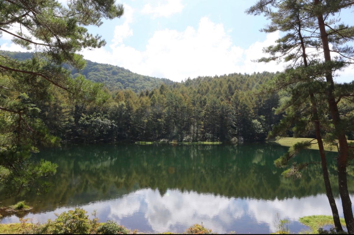 長野県蓼科
●御射鹿池を「緑響く」にできる限り似せて加工した写真
●「緑響...