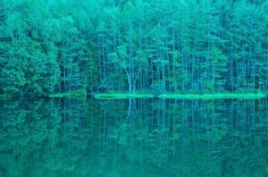 長野県蓼科
●御射鹿池を「緑響く」にできる限り似せて加工した写真
●「緑響...