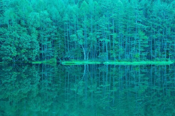 日本・長野県「御射鹿池を見に蓼科へ　GO to トラベル」の写真：長野県蓼科
●御射鹿池を「緑響く」にでき...