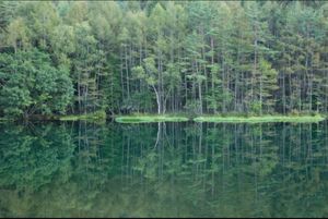 長野県蓼科
●御射鹿池を「緑響く」にできる限り似せて加工した写真
●「緑響...