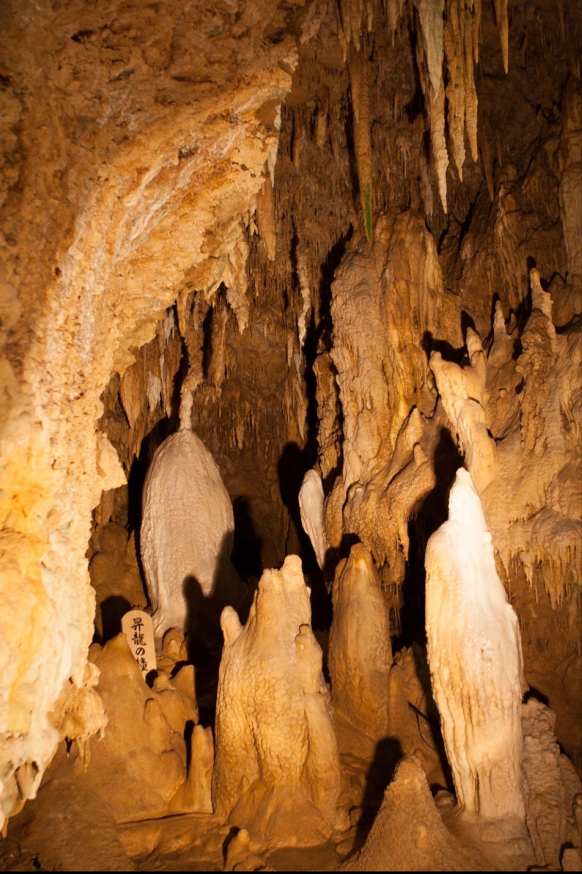 沖縄
恩名村
●万座毛
読谷
●ホテル日航アリビラの廊下
●ホテル日航アリ...