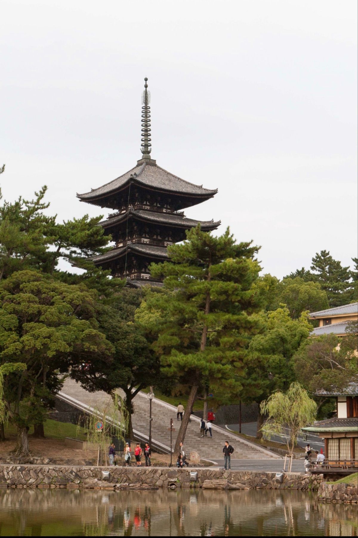奈良
●猿沢池から見た興福寺五重塔（世界遺産）
●興福寺　聖徳太子十六歳孝...