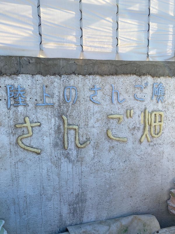 日本・沖縄県「沖縄へ　ホテルライフを楽しむ旅」の写真：先日、TBS「バックステージ」という番組...