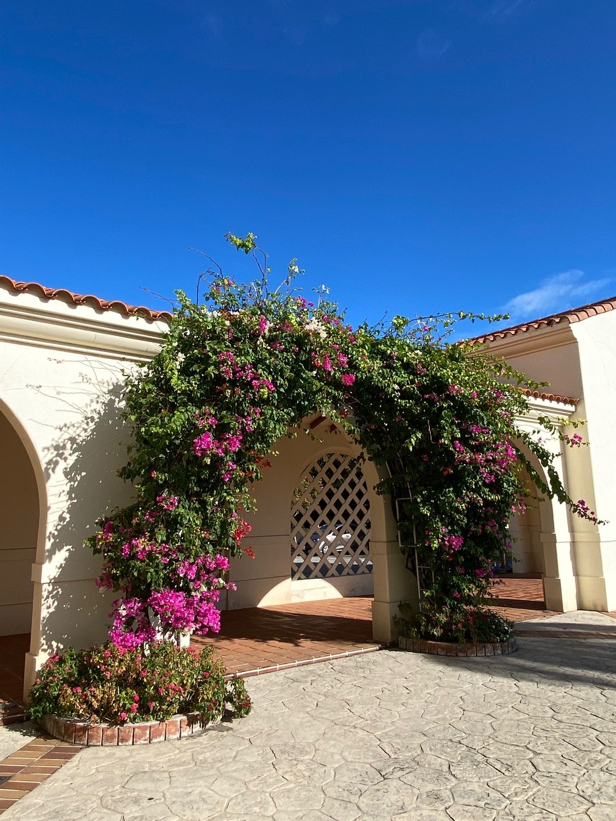 沖縄
●ホテル日航アリビラ
●アリビラのブーゲンビリア

今回は、ほんとど...