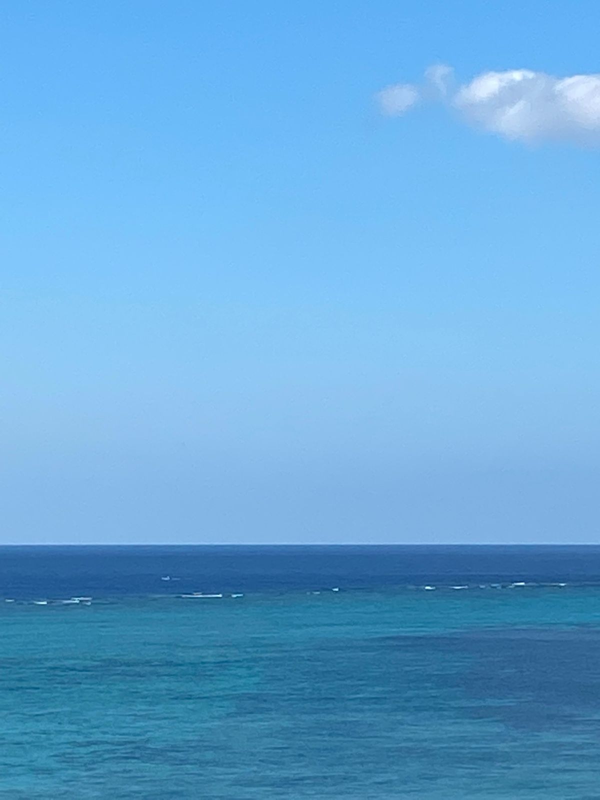 沖縄
●アリビラの部屋のベランダから見える海
●アリビラの部屋のベランダか...