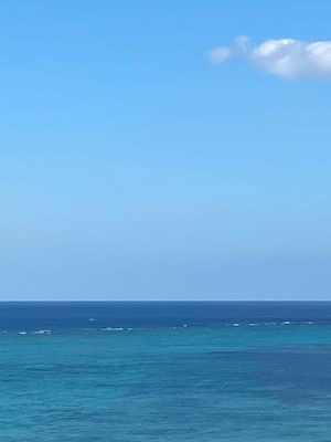 沖縄
●アリビラの部屋のベランダから見える海
●アリビラの部屋のベランダか...