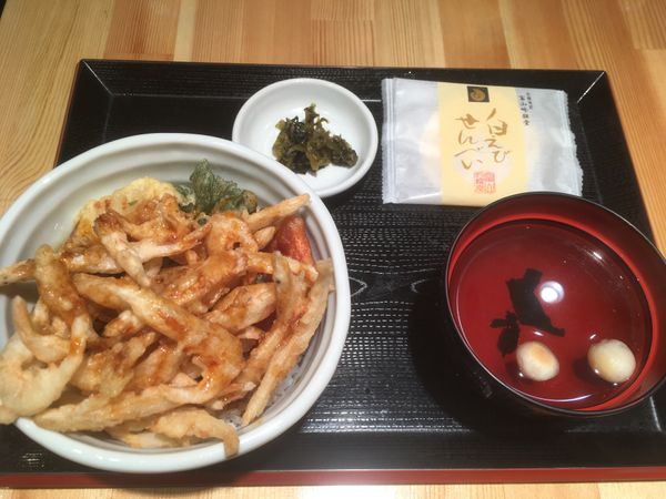 日本・富山「富山の旅」の写真