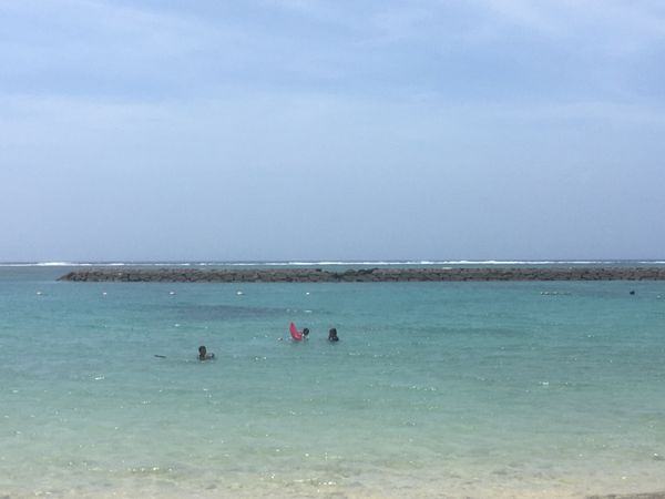 日本・石垣島「石垣島の旅」の写真