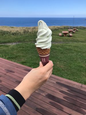 礼文島は、最高にいいところでした！
今度は、うにの時期に行きたい❤️