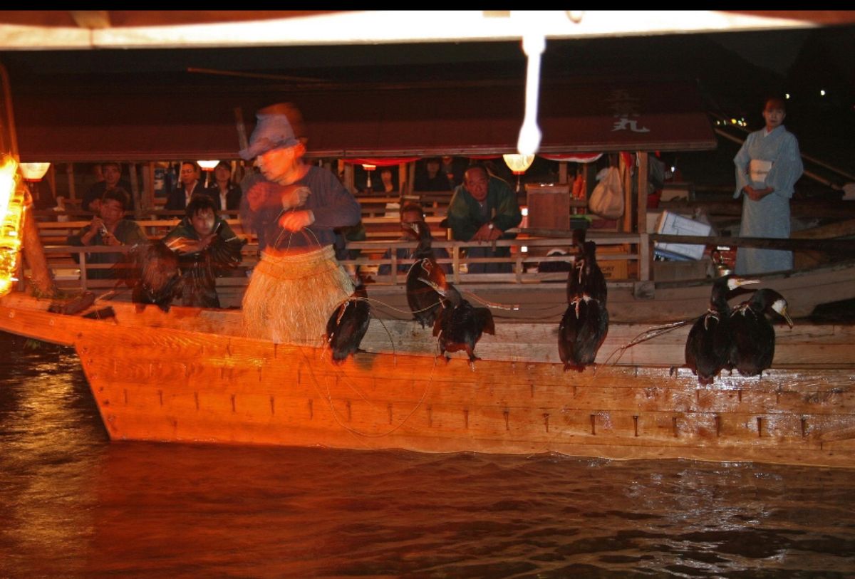 岐阜県長良川の鵜飼

真っ暗闇の中、篝火がオレンジ色に燃えて、幻想的な雰囲...