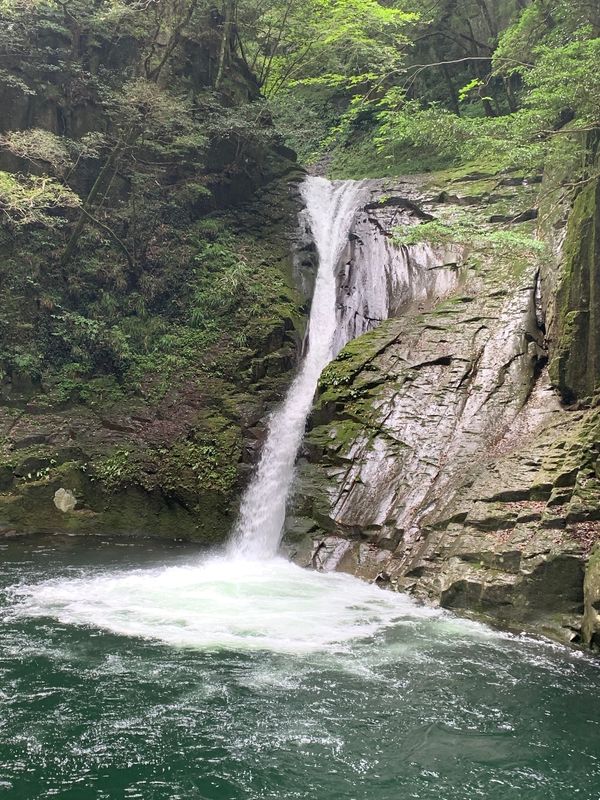 日本・三重県「赤目四十八滝へ」の写真