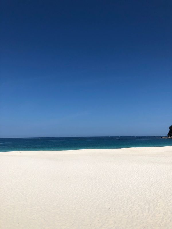日本・和歌山県「白浜　南紀　コロナ以前の思い出の旅」の写真