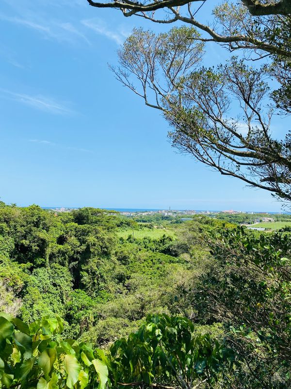 日本・沖縄県「沖縄」の写真