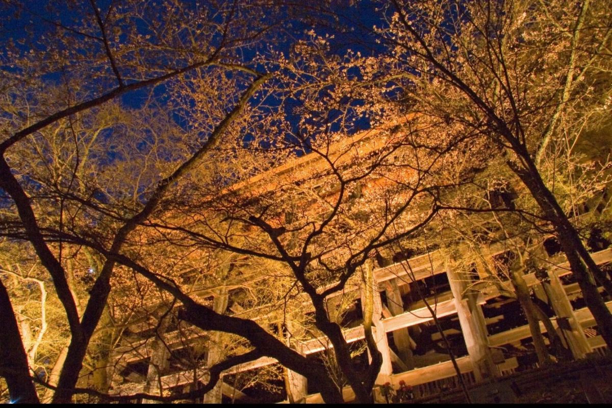 京都府
●清水寺のライトアップ（世界遺産）
●清水寺の三重塔の夜景（世界遺...