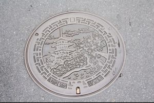 奈良
●法起寺の三重塔（世界遺産）
●法隆寺の大講堂（世界遺産）
●法隆寺...