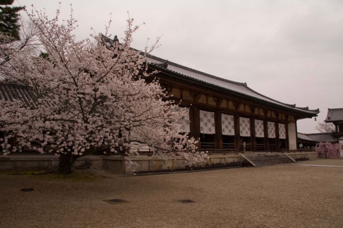 奈良
●法起寺の三重塔（世界遺産）
●法隆寺の大講堂（世界遺産）
●法隆寺...