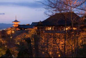 京都府
●清水寺のライトアップ（世界遺産）
●清水寺の三重塔の夜景（世界遺...