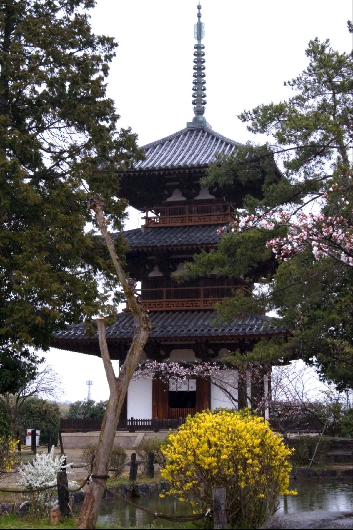 奈良
●法起寺の三重塔（世界遺産）
●法隆寺の大講堂（世界遺産）
●法隆寺...