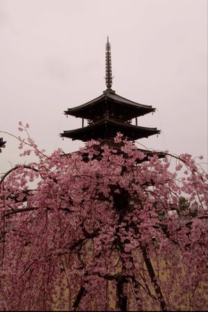 奈良
●法起寺の三重塔（世界遺産）
●法隆寺の大講堂（世界遺産）
●法隆寺...