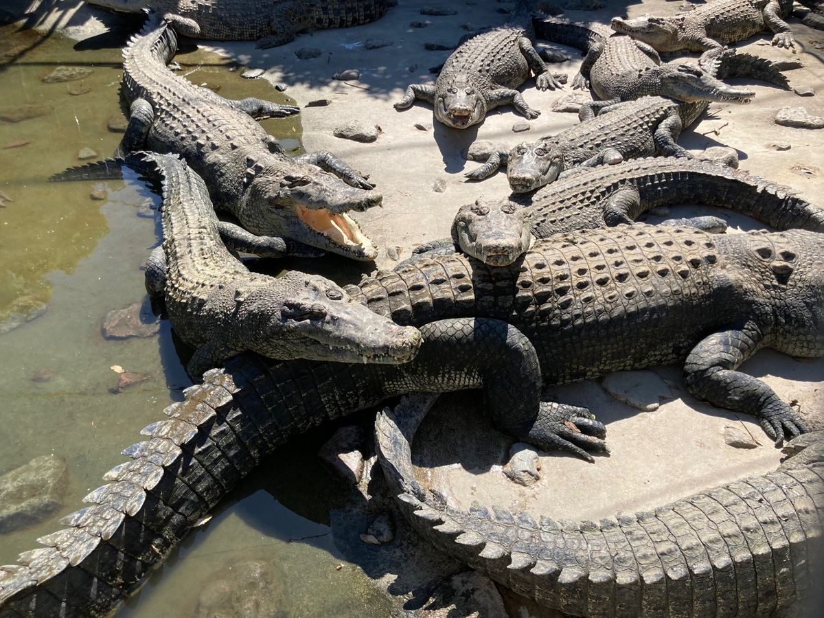 地獄めぐり@別府
時間ない中、7つ全部まわりましたー！
どこの地獄温泉も特...