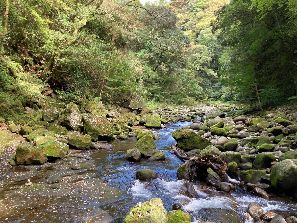 天岩戸神社@高千穂