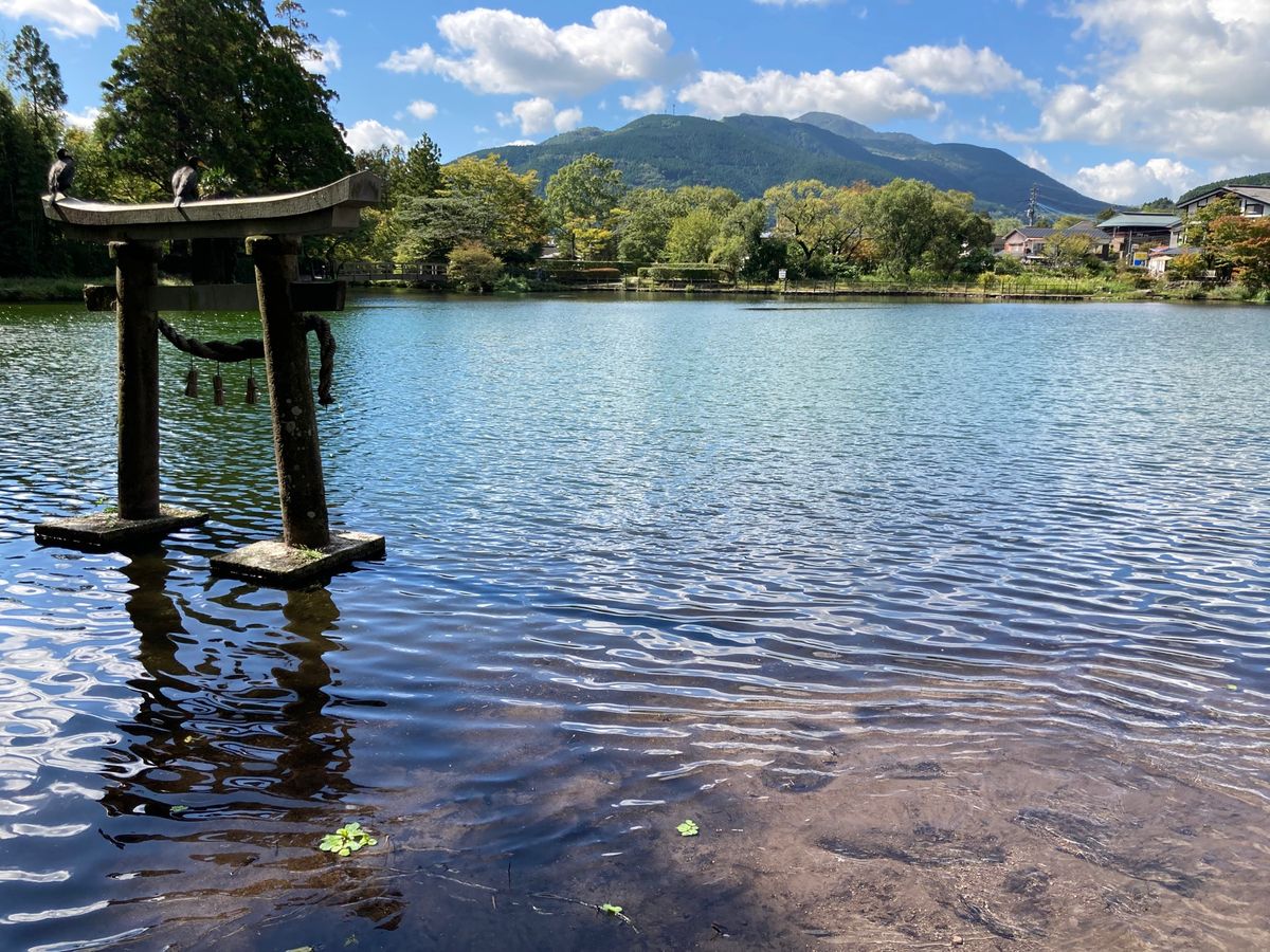 金鱗湖
湯平温泉
(@由布市)
湯平温泉はコロナ禍、昨年の豪雨の影響もある...