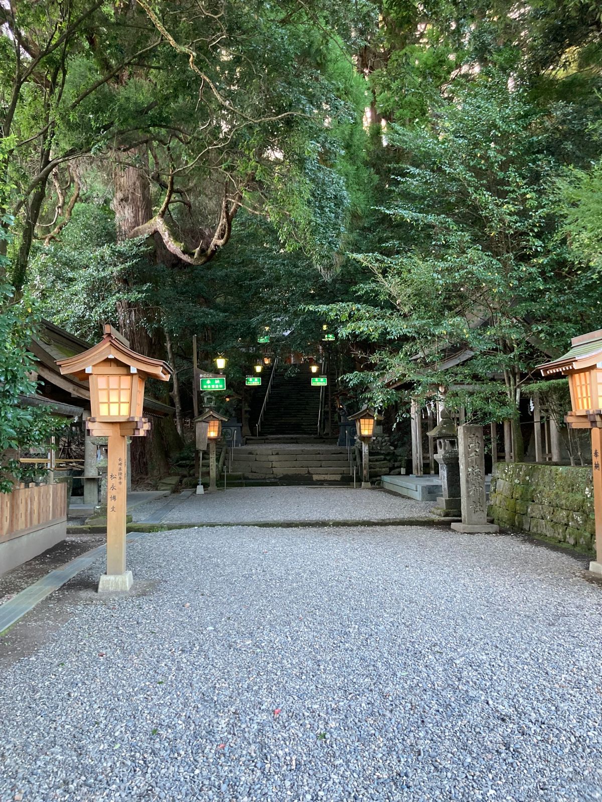 高千穂神社
夫婦杉