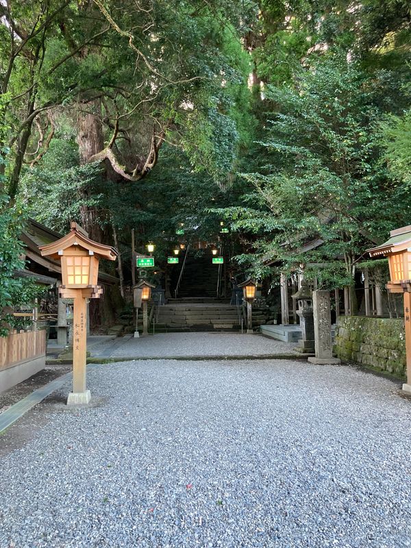 日本・大分県「熊本→宮崎→大分→熊本→福岡(2021)」の写真：高千穂神社
夫婦杉