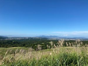 熊本初上陸！
熊本→宮崎→大分という大移動を1日で！(友人運転...頭が下...