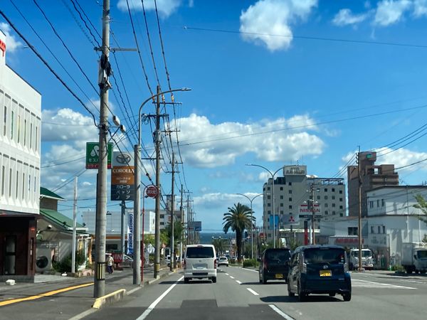 日本・大分県「熊本→宮崎→大分→熊本→福岡(2021)」の写真：東洋軒@別府
とり天発祥のお店！
tak...