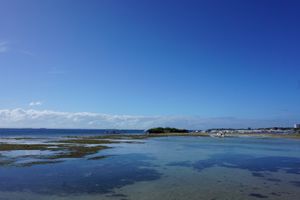 ジンベエザメと泳いでSUPしました⛱
コロナ前最後の海外旅行になりました