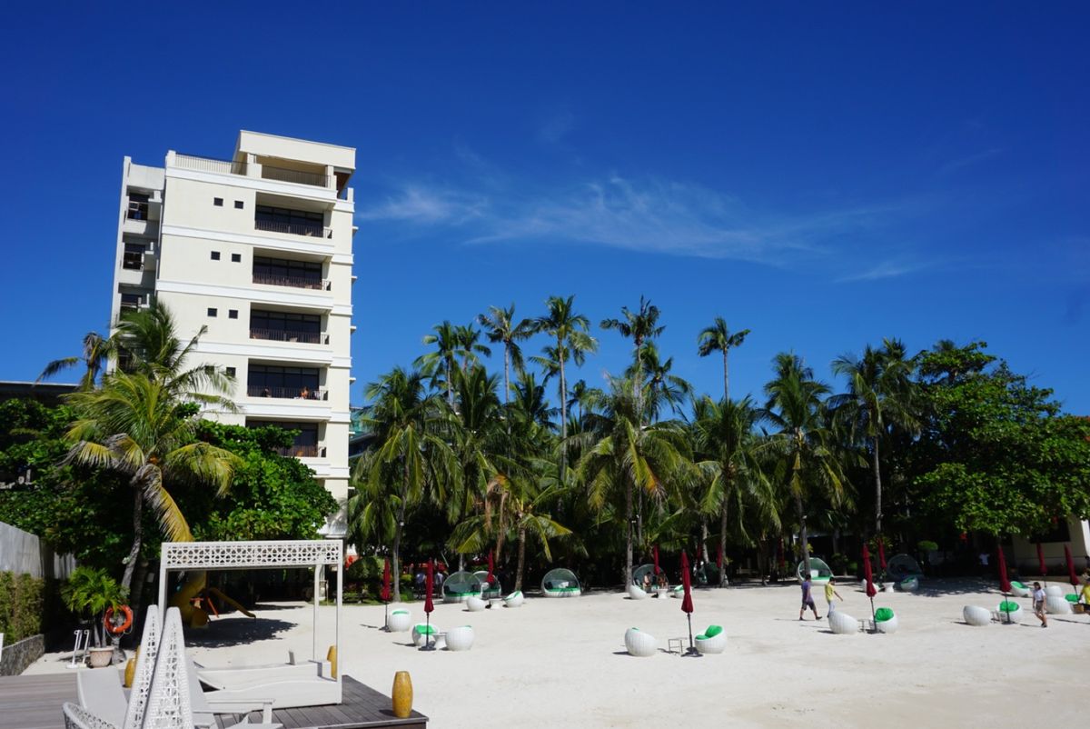 ジンベエザメと泳いでSUPしました⛱
コロナ前最後の海外旅行になりました