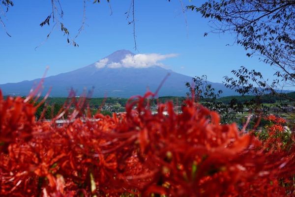 日本・静岡県「満喫✨」の写真